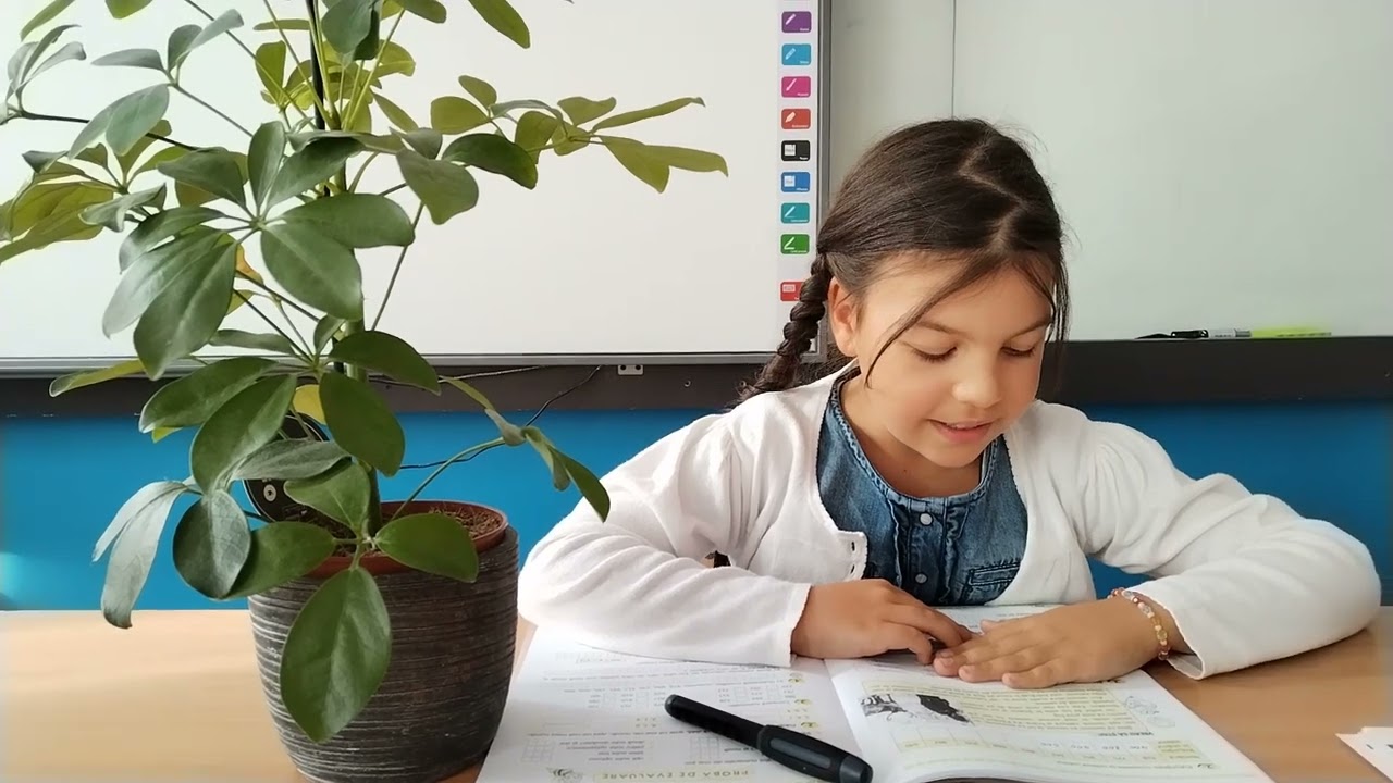 TEXTUL NONLITERAR clasa a II-a Dragonașii