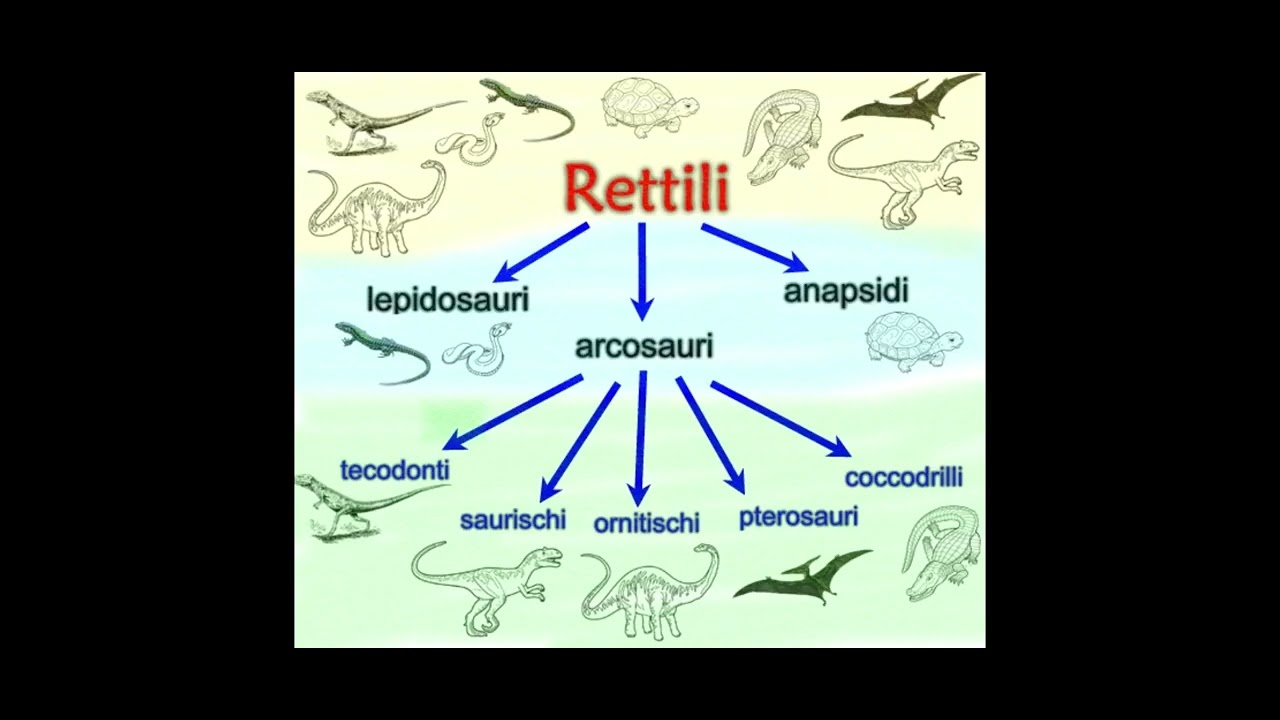 Era mesozoica: Origini e successo dei dinosauri