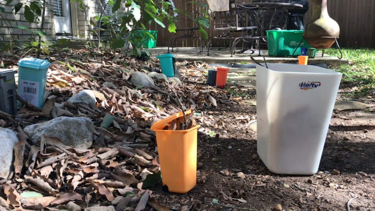 Trash Day With My Mini Bins: Yard Waste Pickup In Real Life
