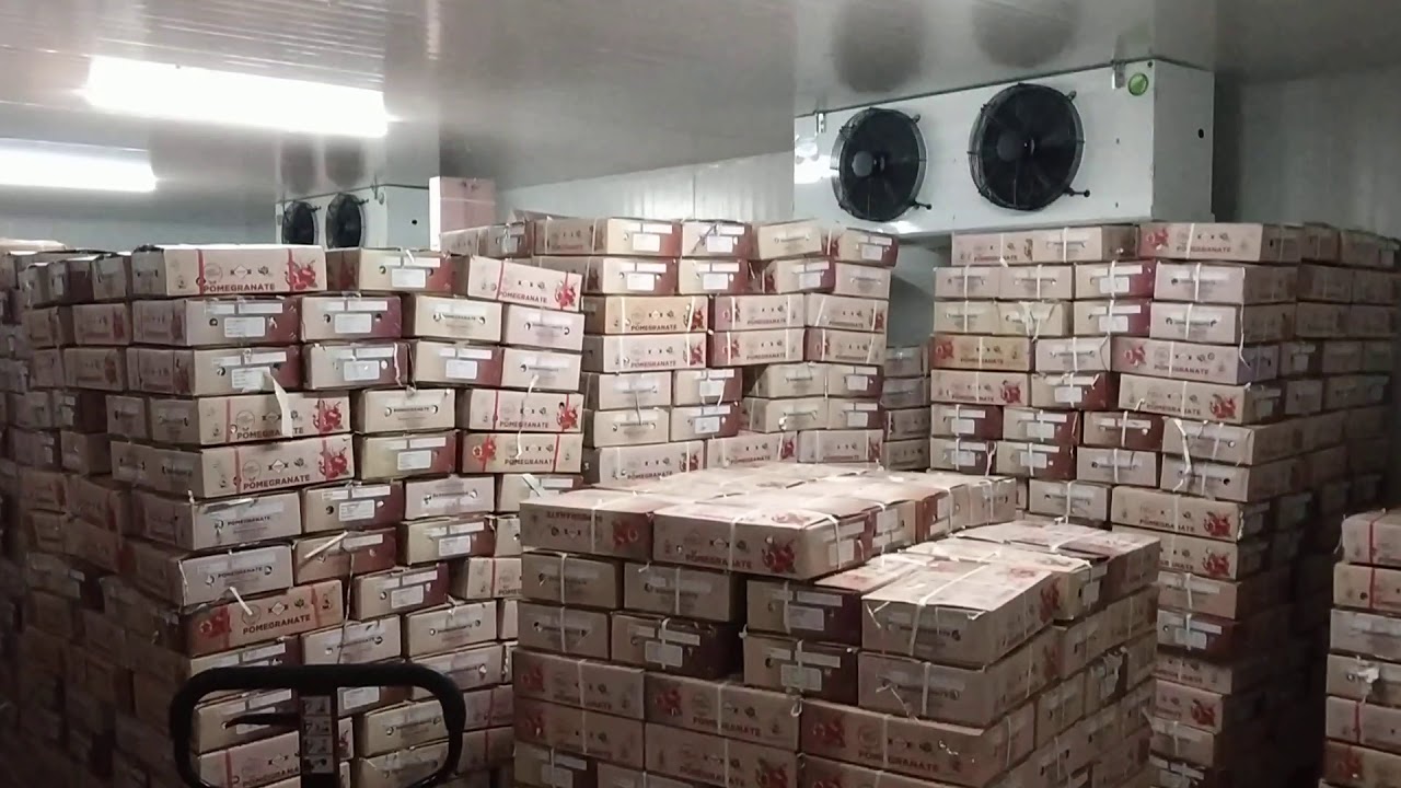 Pomegranate Cold Storage 10500CFT Gandhidham