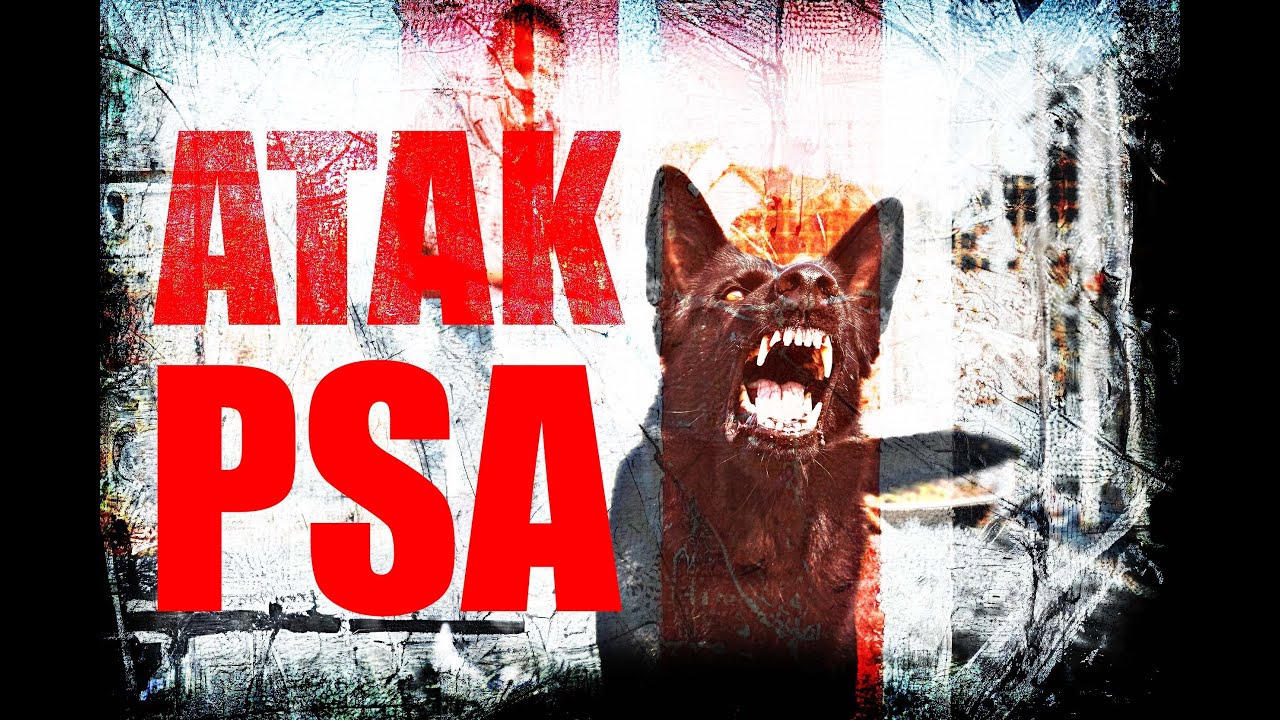 JAK PRZETRWAĆ ATAK PSA ?