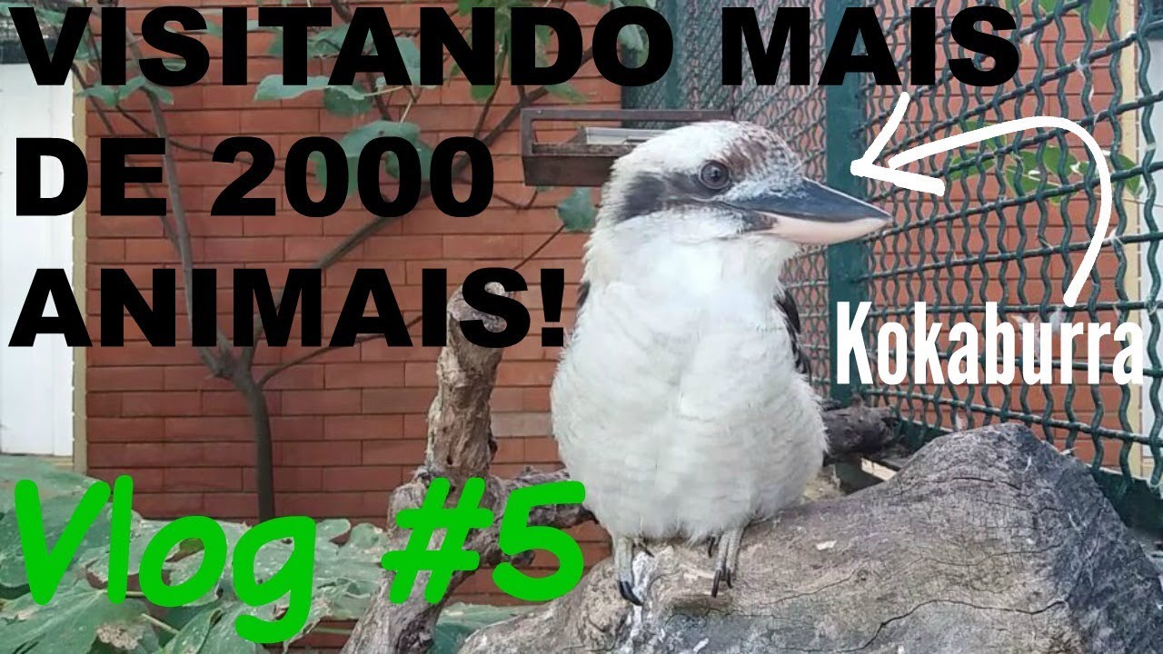 VLOG #5 Jardim Zoológico de Lisboa!