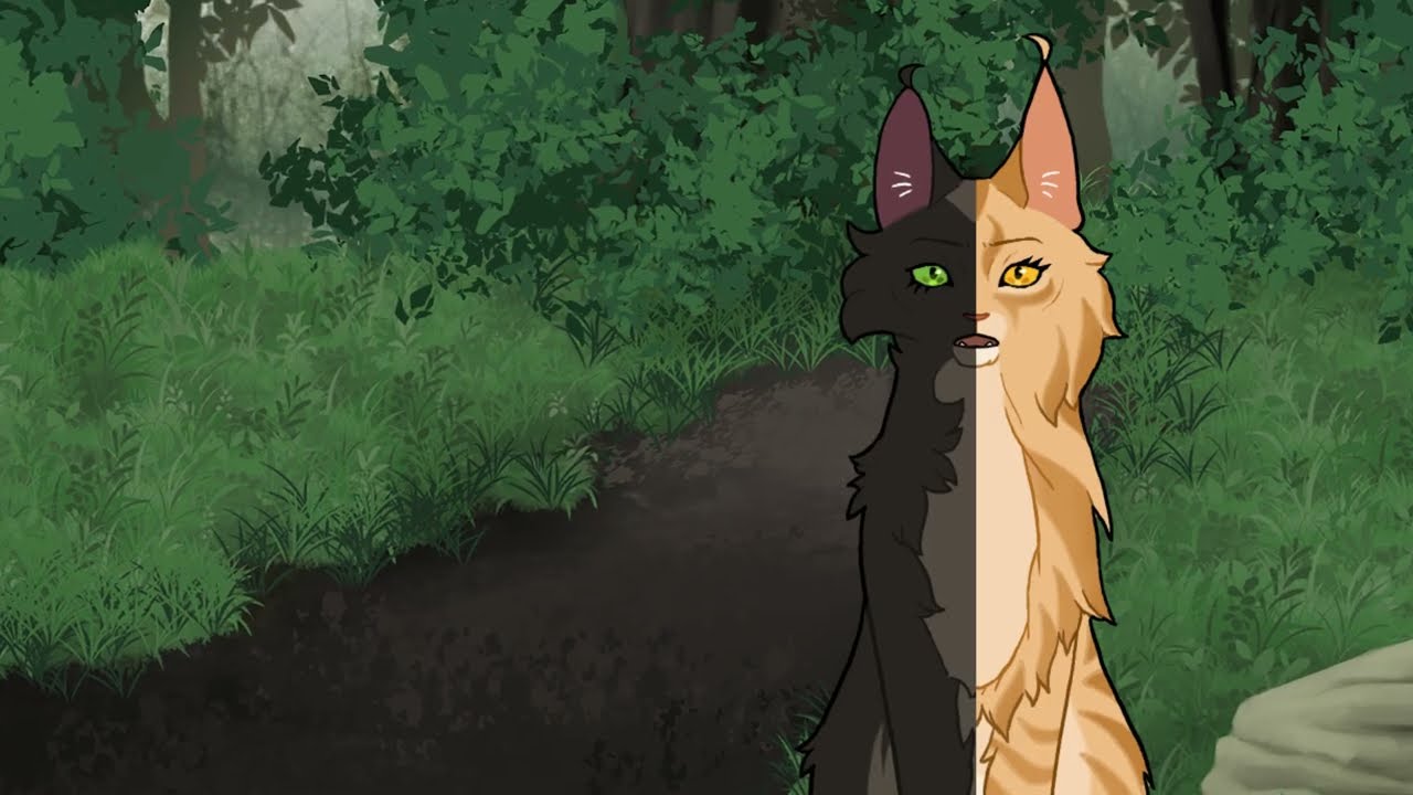 Hats - Moonpaw PMV | Warrior Cats