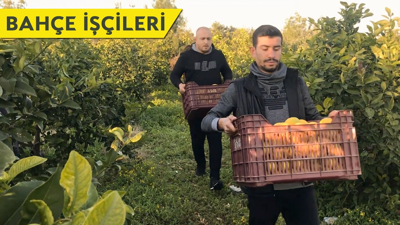 Bahçe İşçileri - Skeç