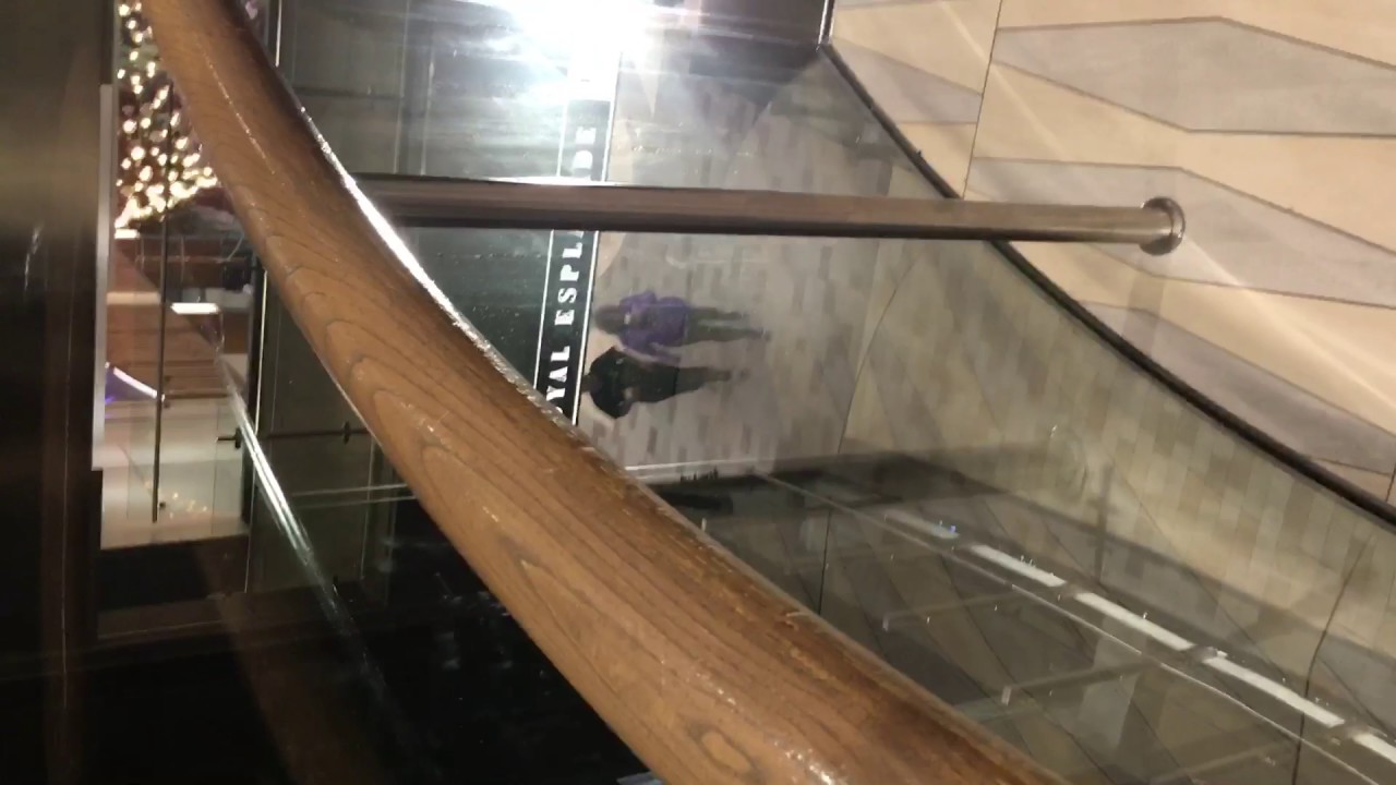 Anthem of the Seas Captains Announcement about Propulsion Problems 3/27/17