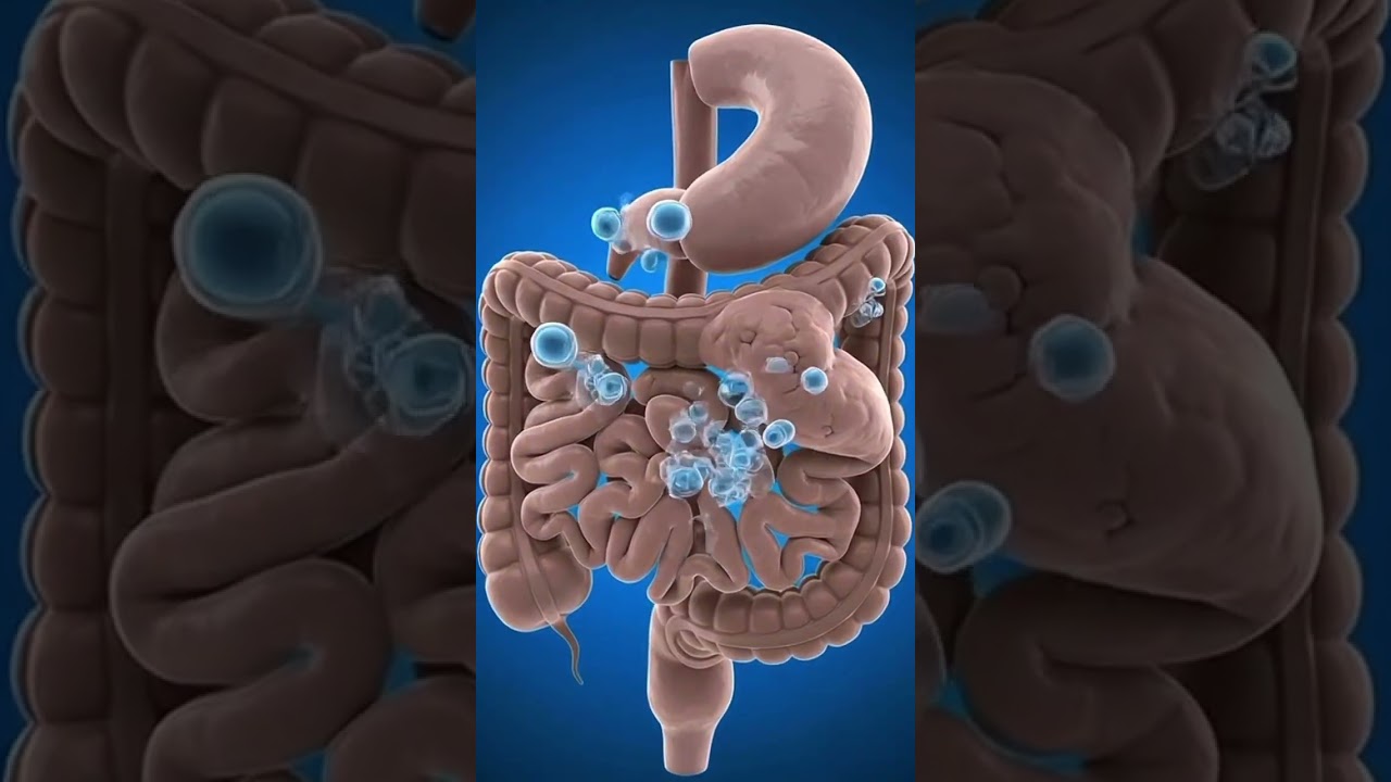 What Happens Inside Your Body When You Drink Sparkling Water 😱. 