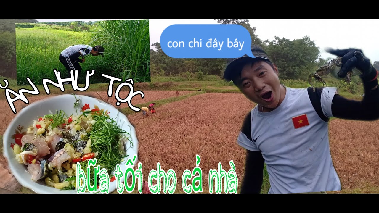 Hongcao vlog. #G&Agrave;ĐỒNG l&aacute; chanh