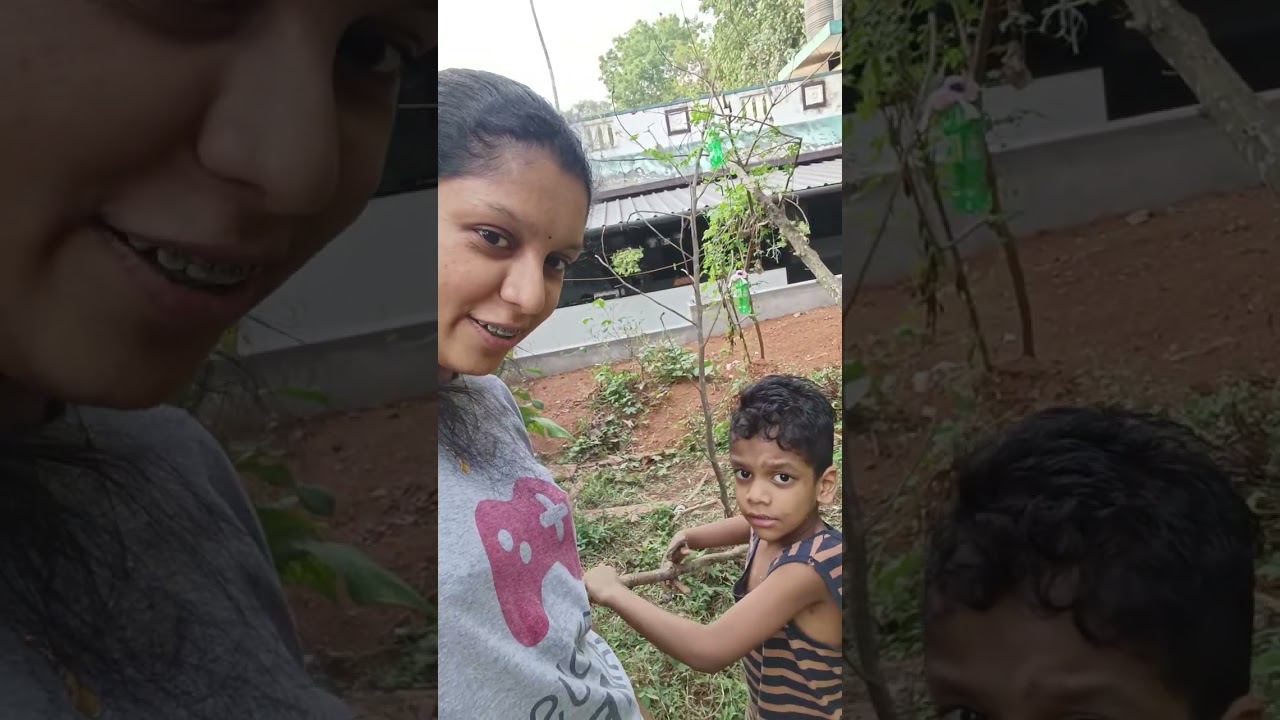 വൈകിട്ട് കാശിയും ഞാനും നടക്കാൻ ഇറങ്ങിയപ്പോൾ 