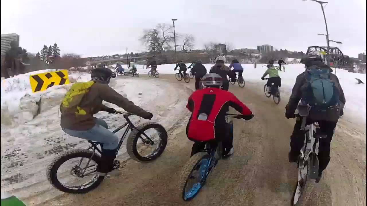 Ice Cycle 2013