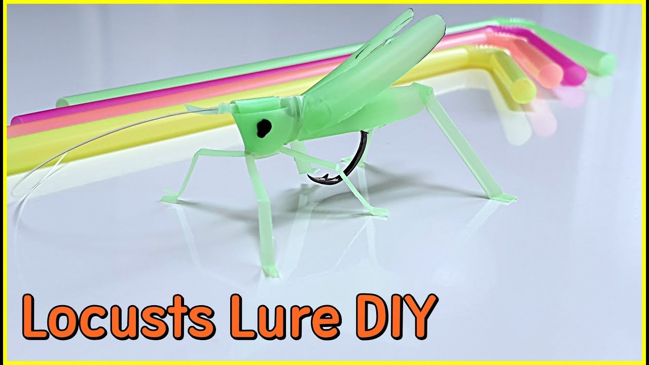 Making straw locust bait / fishing lure