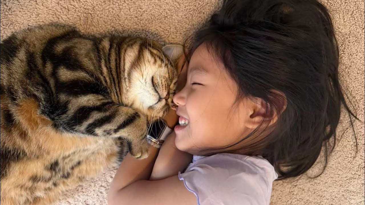 小猫就是我最好的朋友