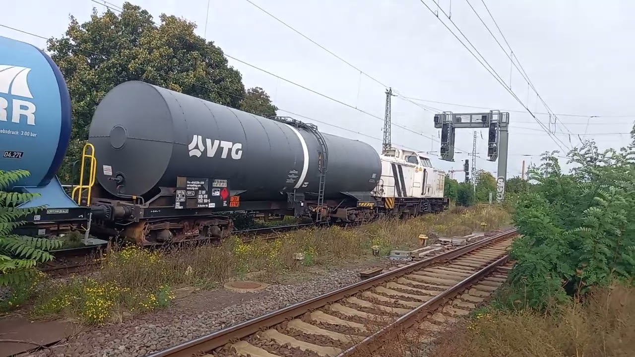 Viele Bunte Züge Durchfahren den Bahnhof Magdeburg-Neustadt am 11.10.2023