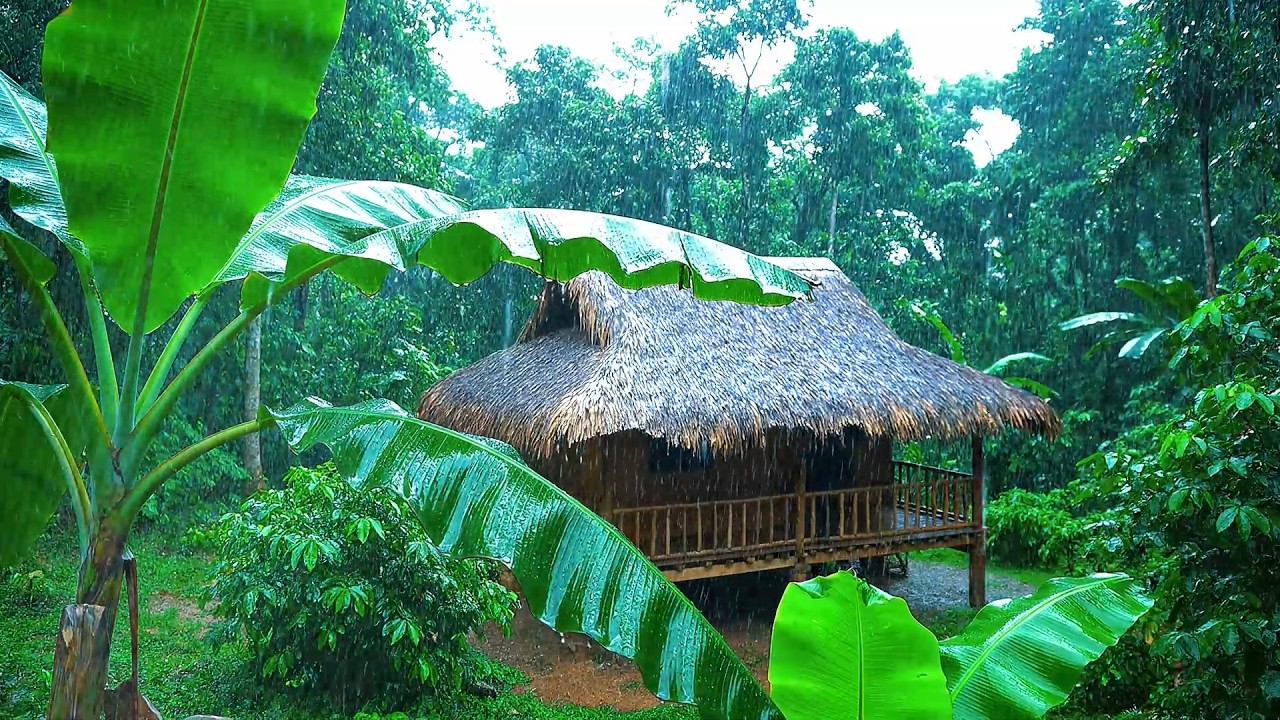 Heavy Rainforest Rain Sounds for Deep Sleep & Relaxation | Calming Rain Noise for Insomnia