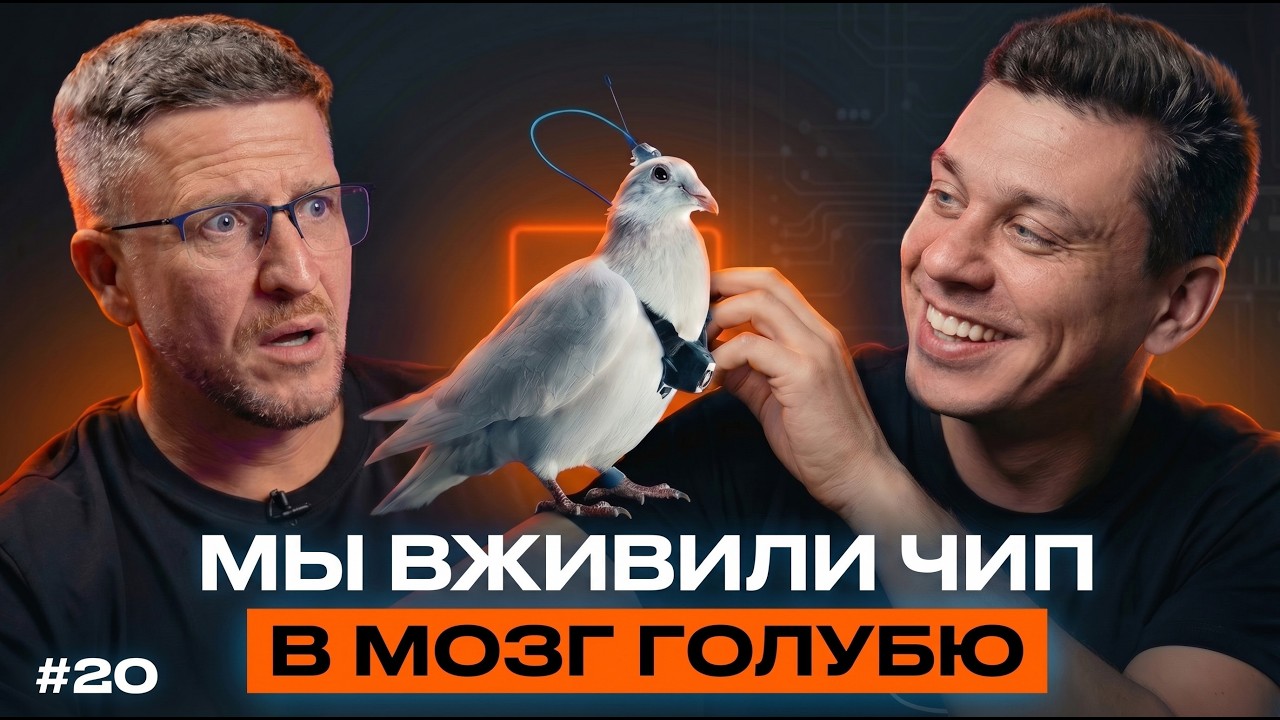 Российские дроны из голубей – технология, которой нет ни у кого