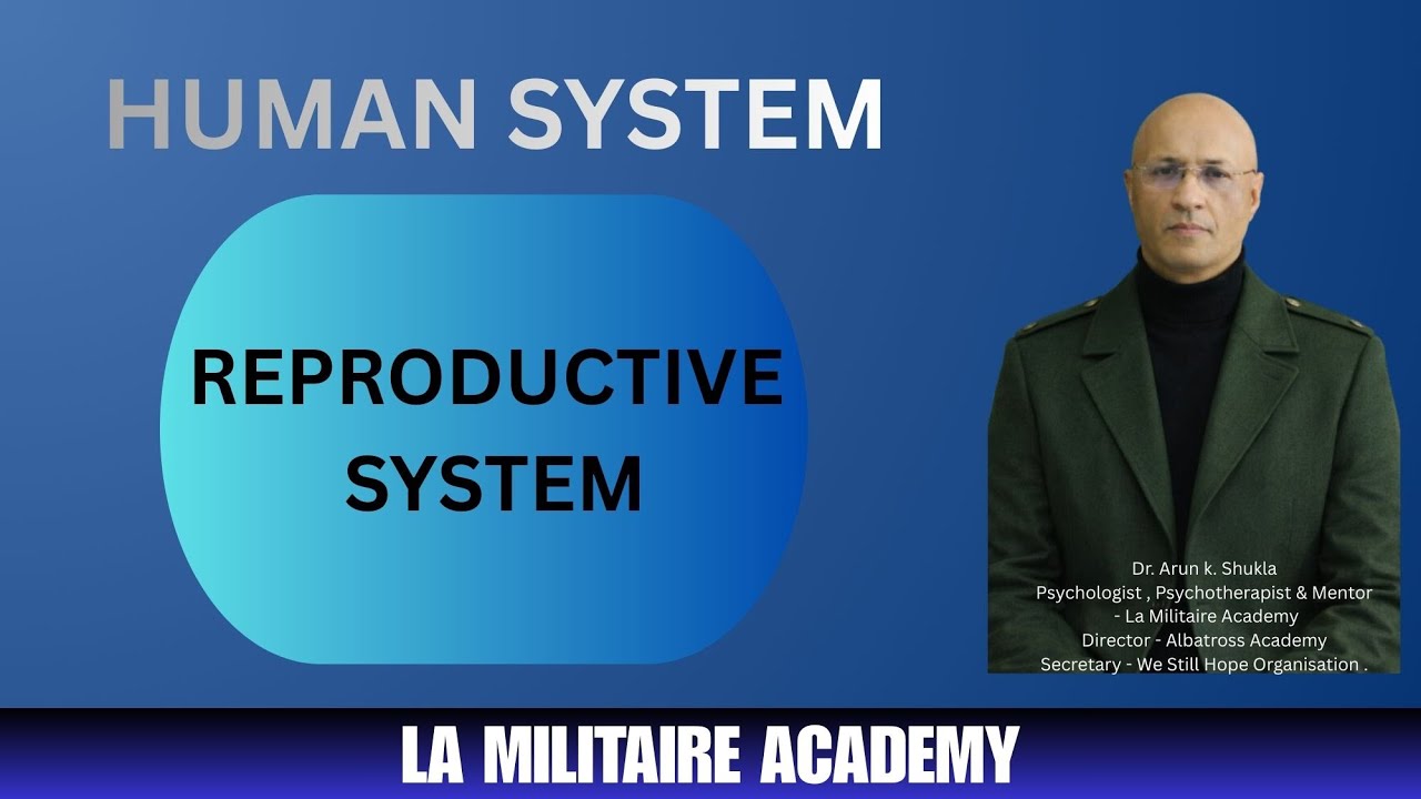 Human Reproductive System – Structure, Functions and Biological Significance