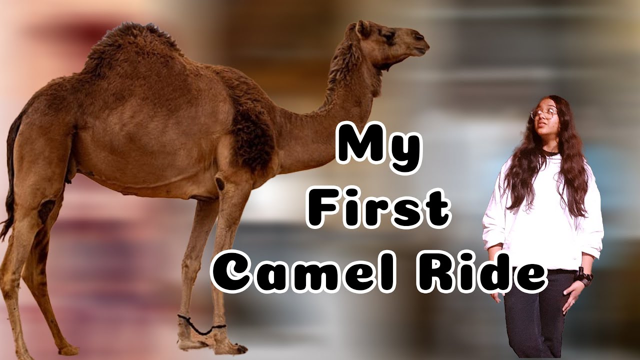 Aaj itna ghume ke thak gaye