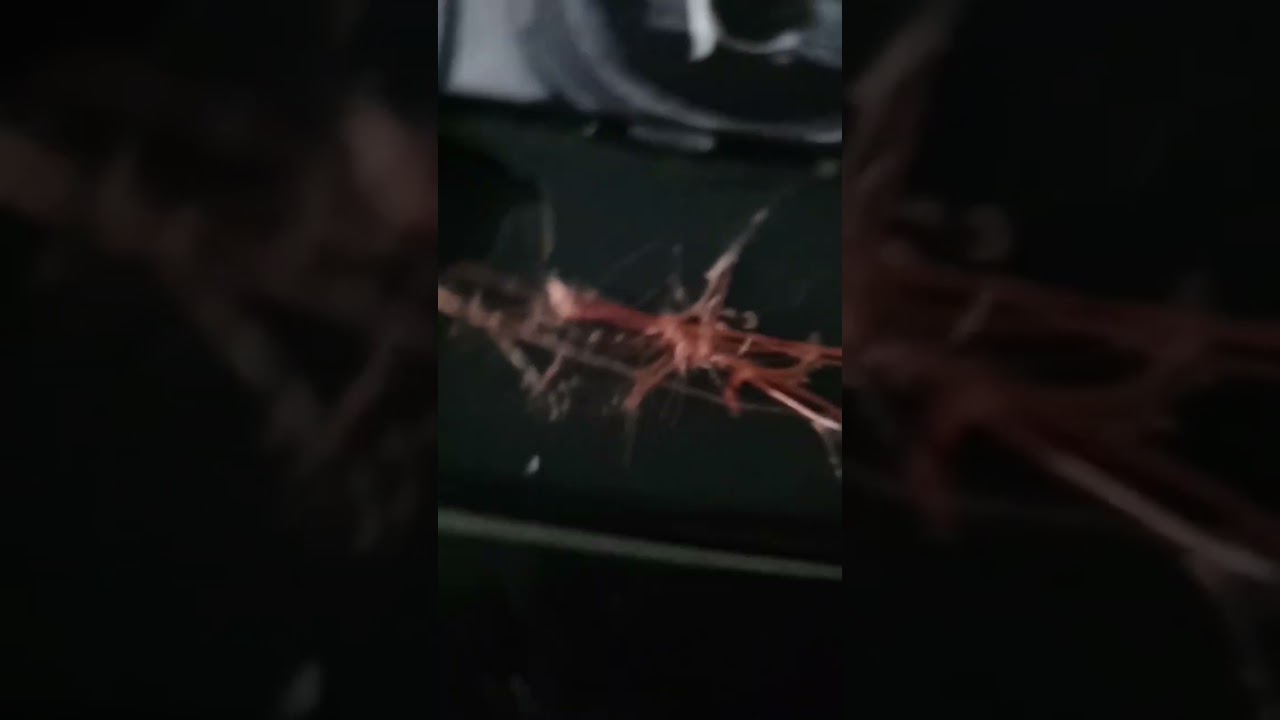 pamięta ktoś no to cyk kiedy otwiera się butla ? 😃