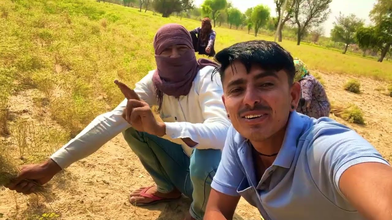 Jeere ki katai, 2026 mein pehli baar! 🥰🌾 || #day2 
