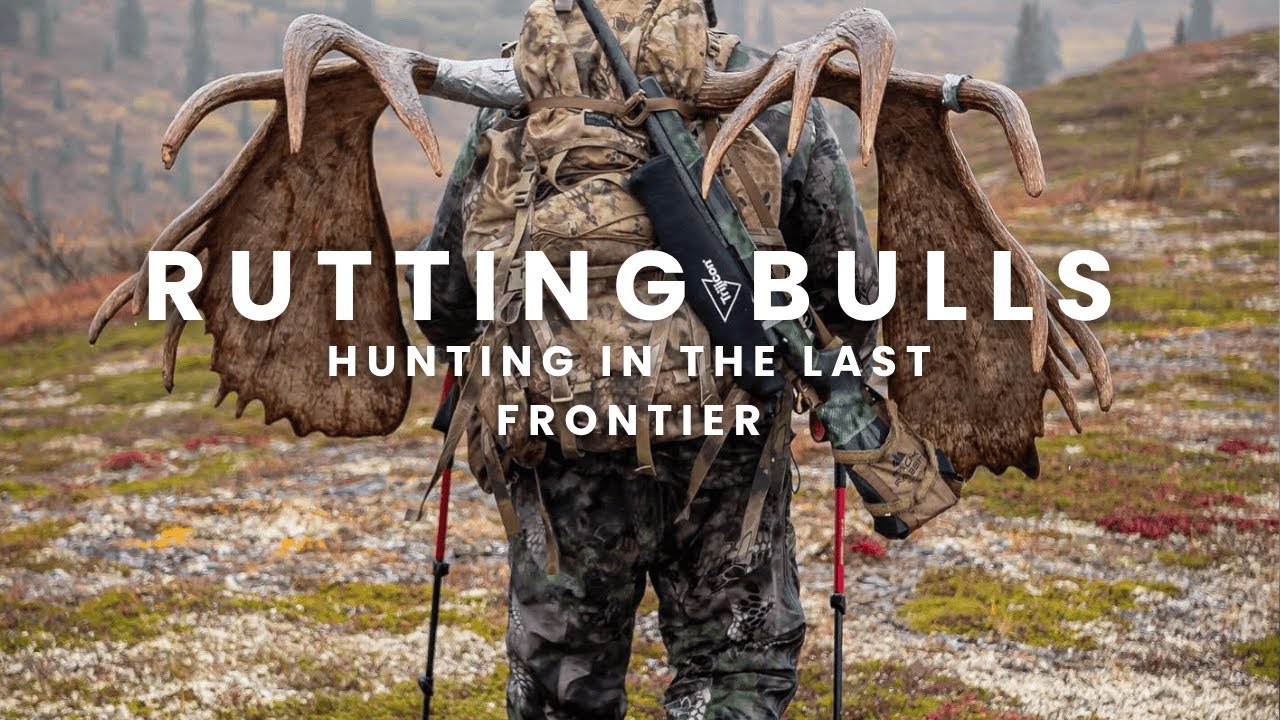 RUTTING BULLS! Up Close And Personal Alaskan Moose Hunt!