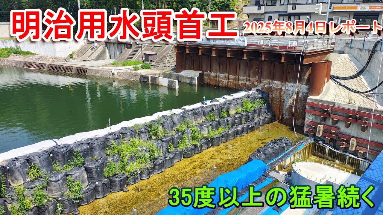 【明治用水頭首工】35度以上の猛暑続く【2025年8月4日レポート】