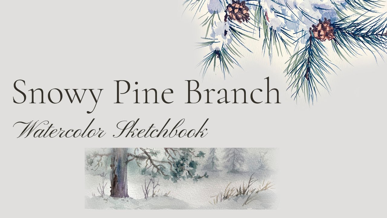 Snowy Pine Branch in Watercolor | Winter Landscape Sketchbook