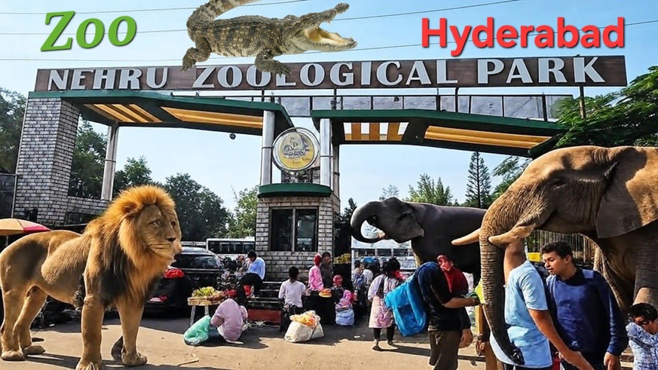 Zoo Hyderabad | Nehru Zoological Park