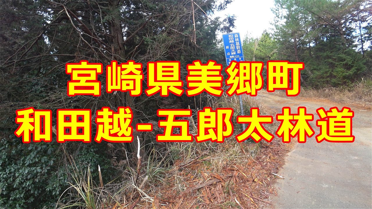 【宮崎県　林道】和田越・五郎太林道　#crf250l で行く#林道 ソロ＃ツーリング　#4k
