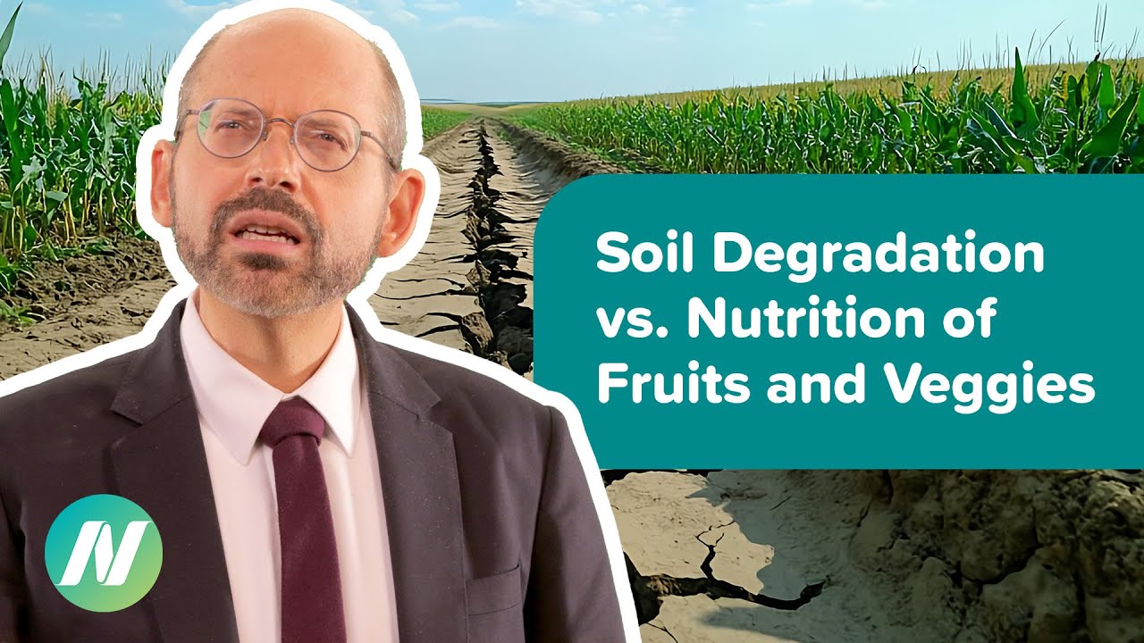 Is Soil Degradation Reducing the Nutrition of Fruits and Vegetables?