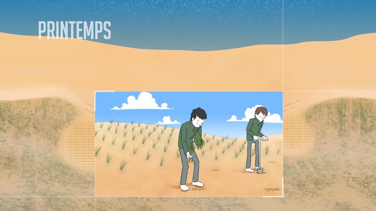 Comment l’ONF prend soin des dunes littorales entre chaque saison estivale ?