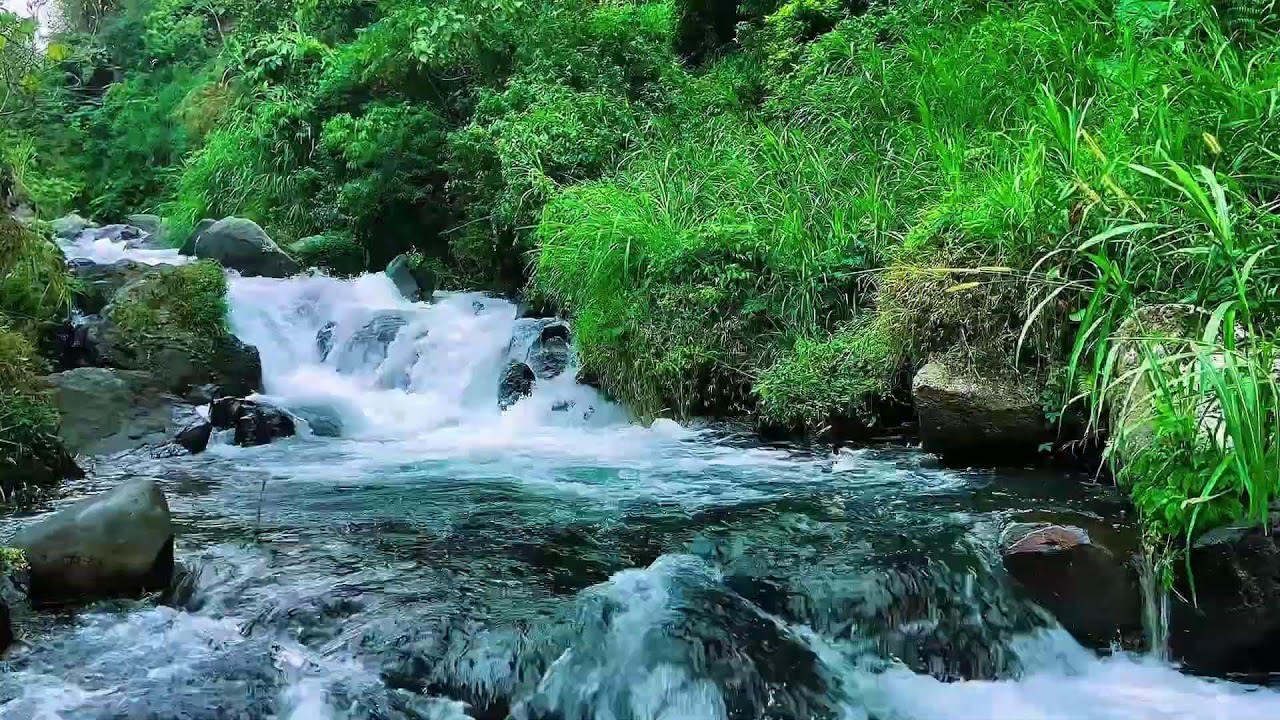 Natural Flowing Water Forest River, Mountain Stream, Sleep