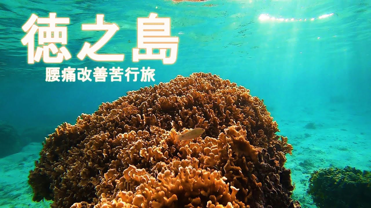 徳之島をぐるっと自転車で1周シュノーケリング。腰痛改善苦行旅