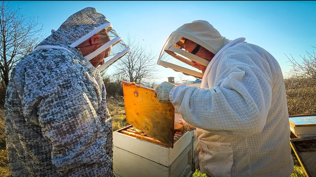 Bienen Frühjahrsbehandlung .. Nicht alle Bienen überleben den Winter