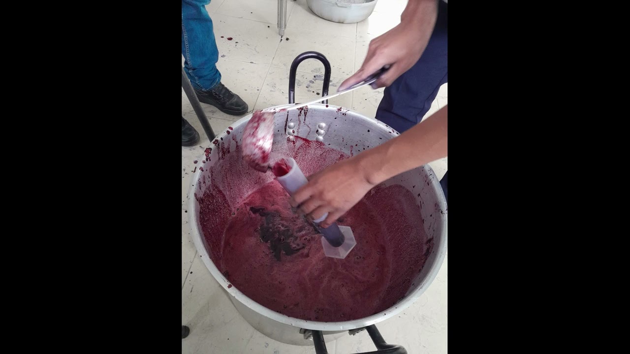 proceso de vino de motilon