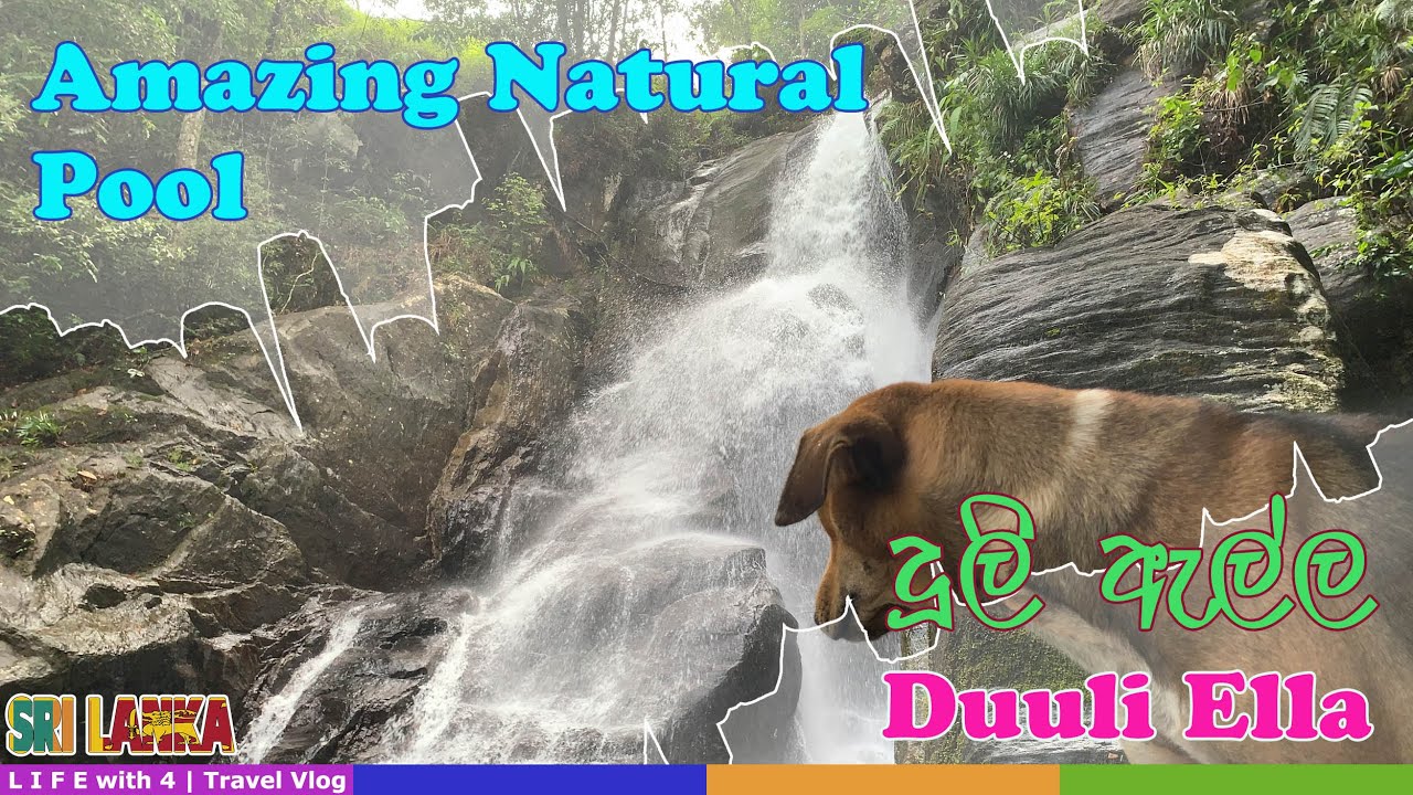 Amazing Natural Pool | LIFE with 4 | Travel vlog