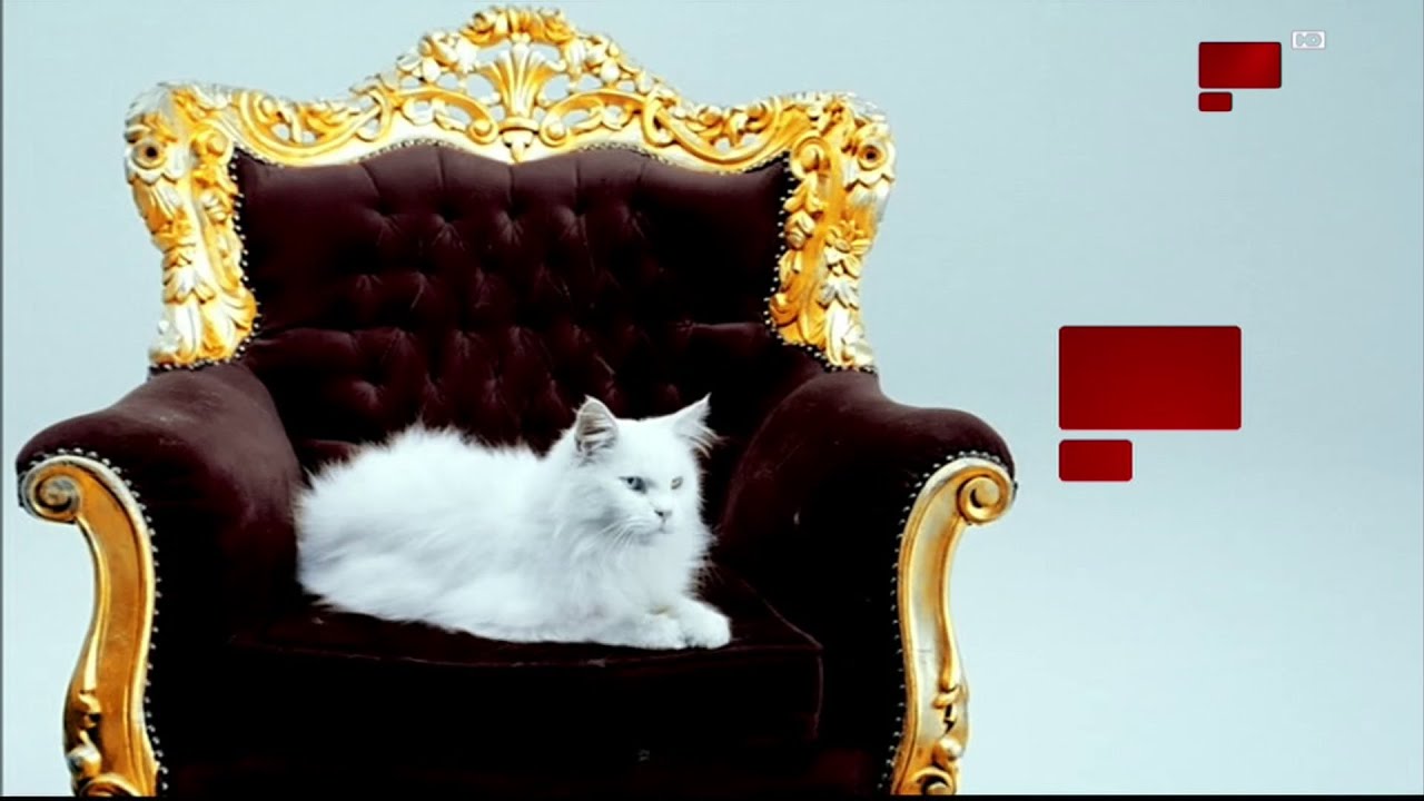 MBC Variaty HD (26.0 E Badr) provider MY HD