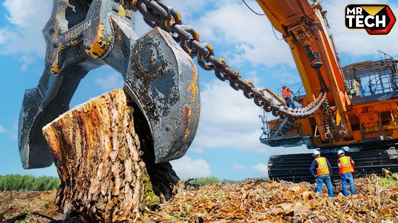 Extreme Dangerous Fastest Big Chainsaw Cutting Tree Machines | Monster Stump Removal Excavator #15