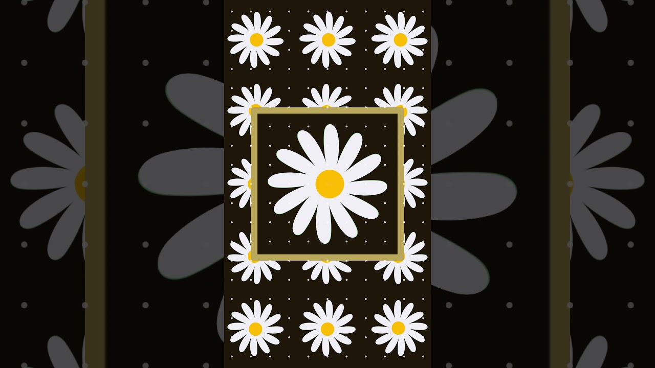 #Daisy 🌼 #backgroundloop #loopAfterEffects