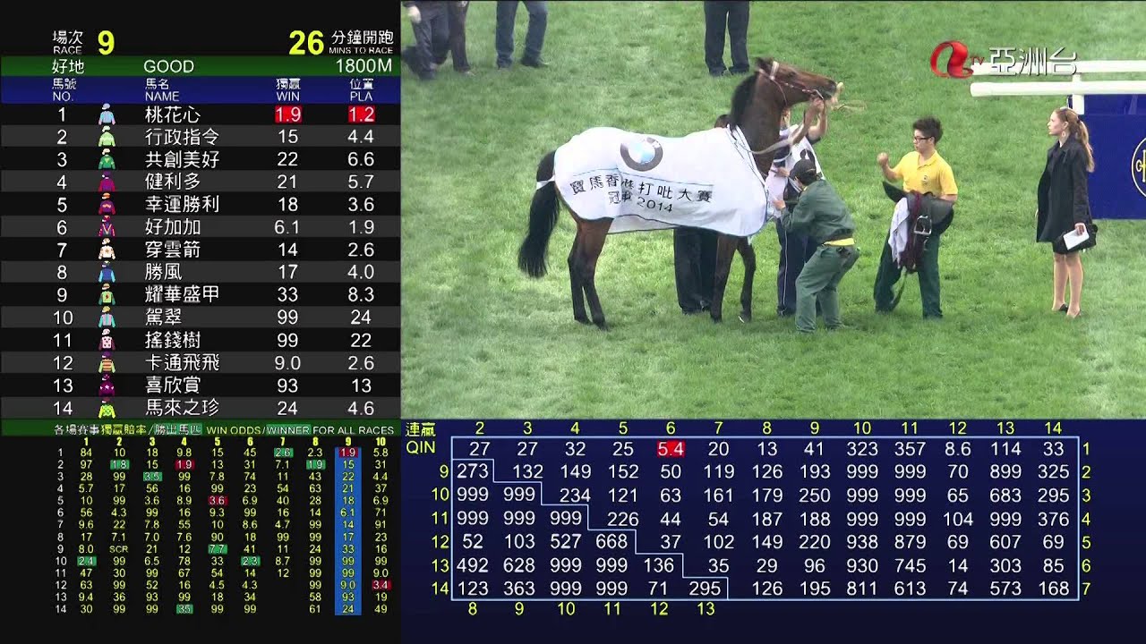 威爾頓 (P270) DESIGNS ON ROME デザインズオンローム 香港打吡 Hong Kong Derby 2014 貝湯美 16/03/2014