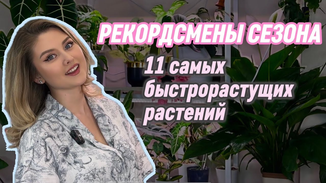 Было-стало. 11 ЗЕЛЁНЫХ РЕКОРДСМЕНОВ: Кто Вырос у Меня за Сезон БЕЗУМНЫМИ Темпами? 🌱⚡️🤯