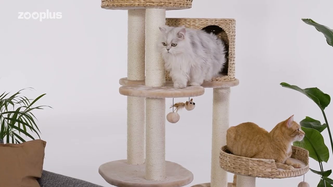 Natural Home IV drapak dla kota | zooplus.pl