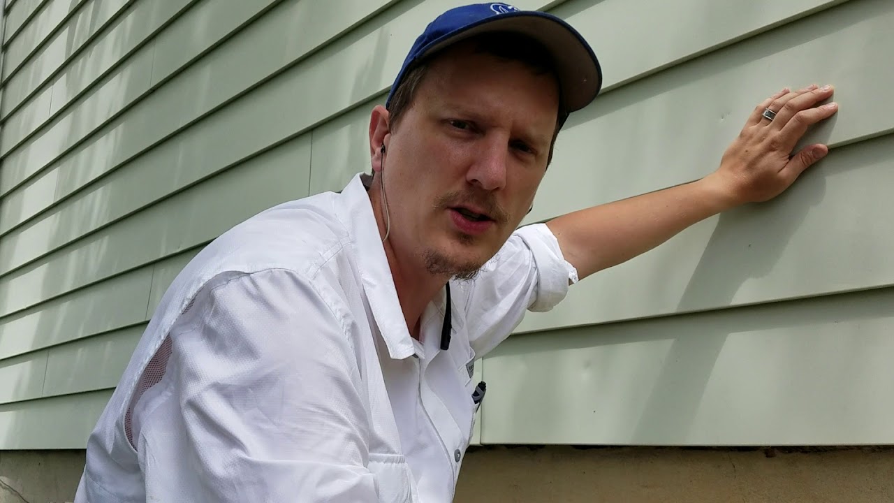 Не пускайте клопов-вонючек прямо сейчас! Узнайте, как защитить свой дом от нашествия клопов-вонюч...