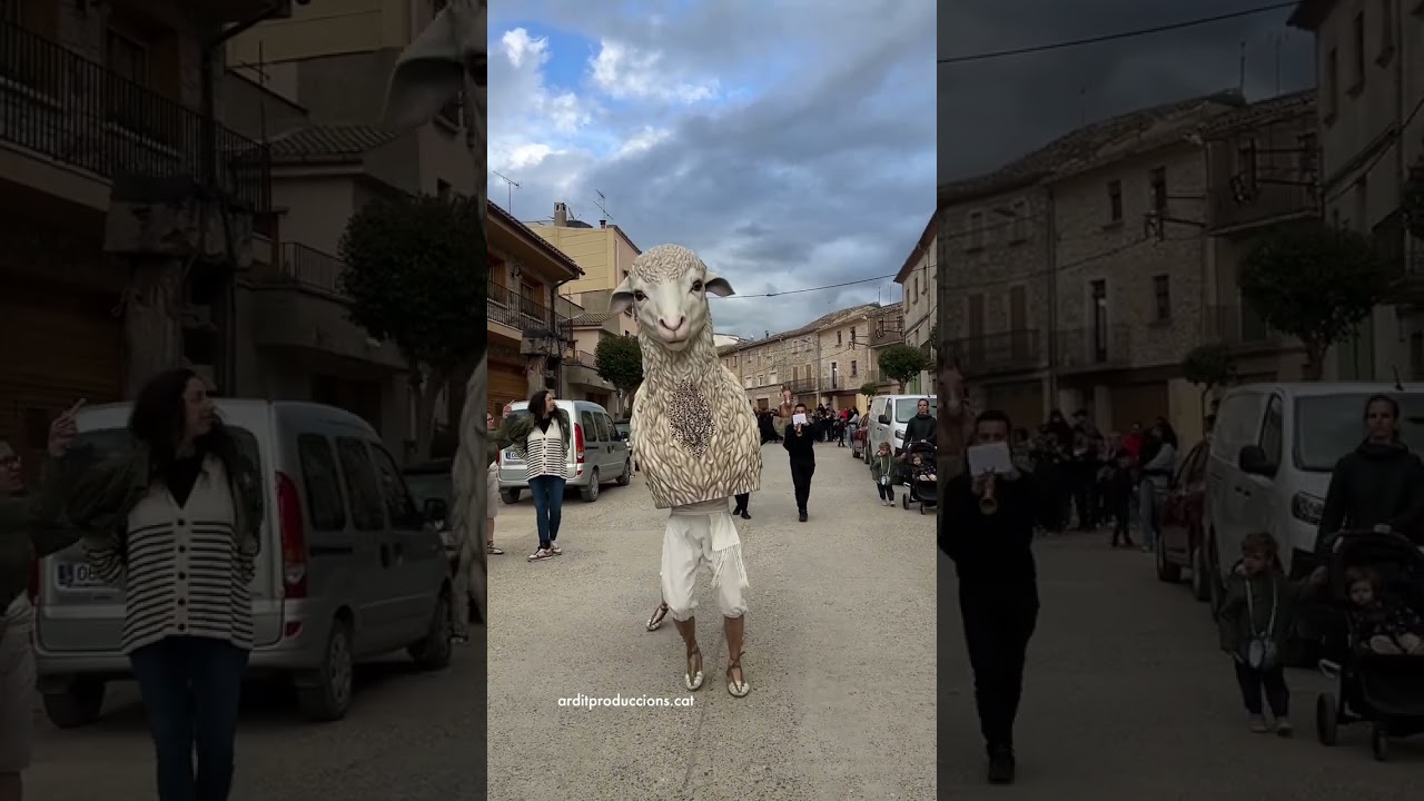 l&rsquo;Ovella Tura de Castellv&iacute; Fira Verd&uacute;