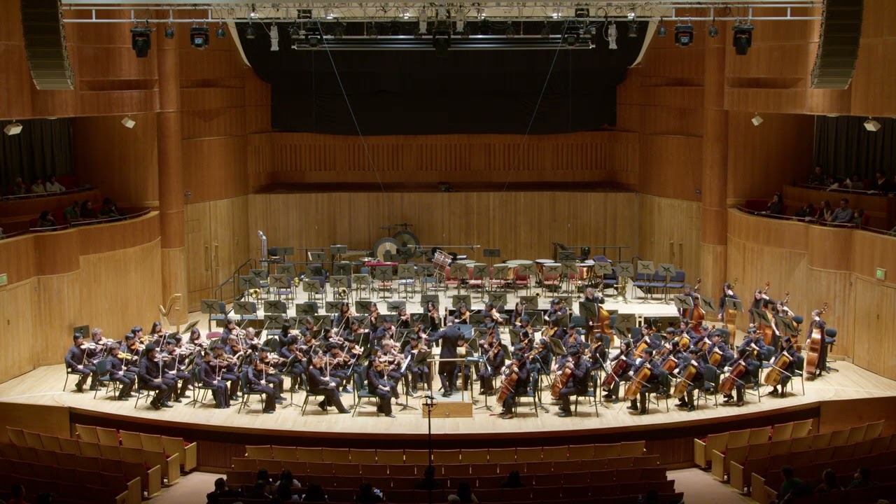 2025 BSYO Concert Orchestra Winter Concert