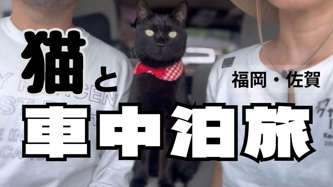 【猫１匹と夫婦】中古で購入した軽バンで週末バンライフ/とある日の車中泊旅のリアル【福岡・佐賀】