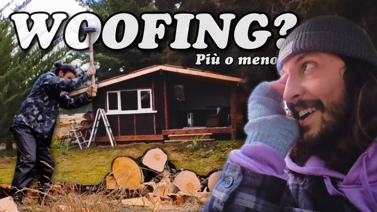 Spaccare Legna in Cambio di una Cabina Isolata per l'Inverno | Vagabondando in NZ🇳🇿 | Capitolo 12
