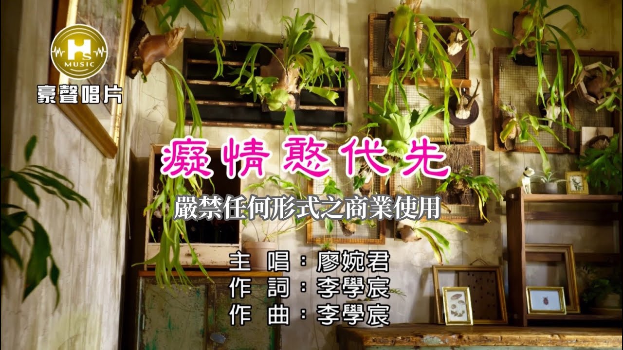 廖婉君-癡情憨代先【KTV導唱字幕】1080p HD