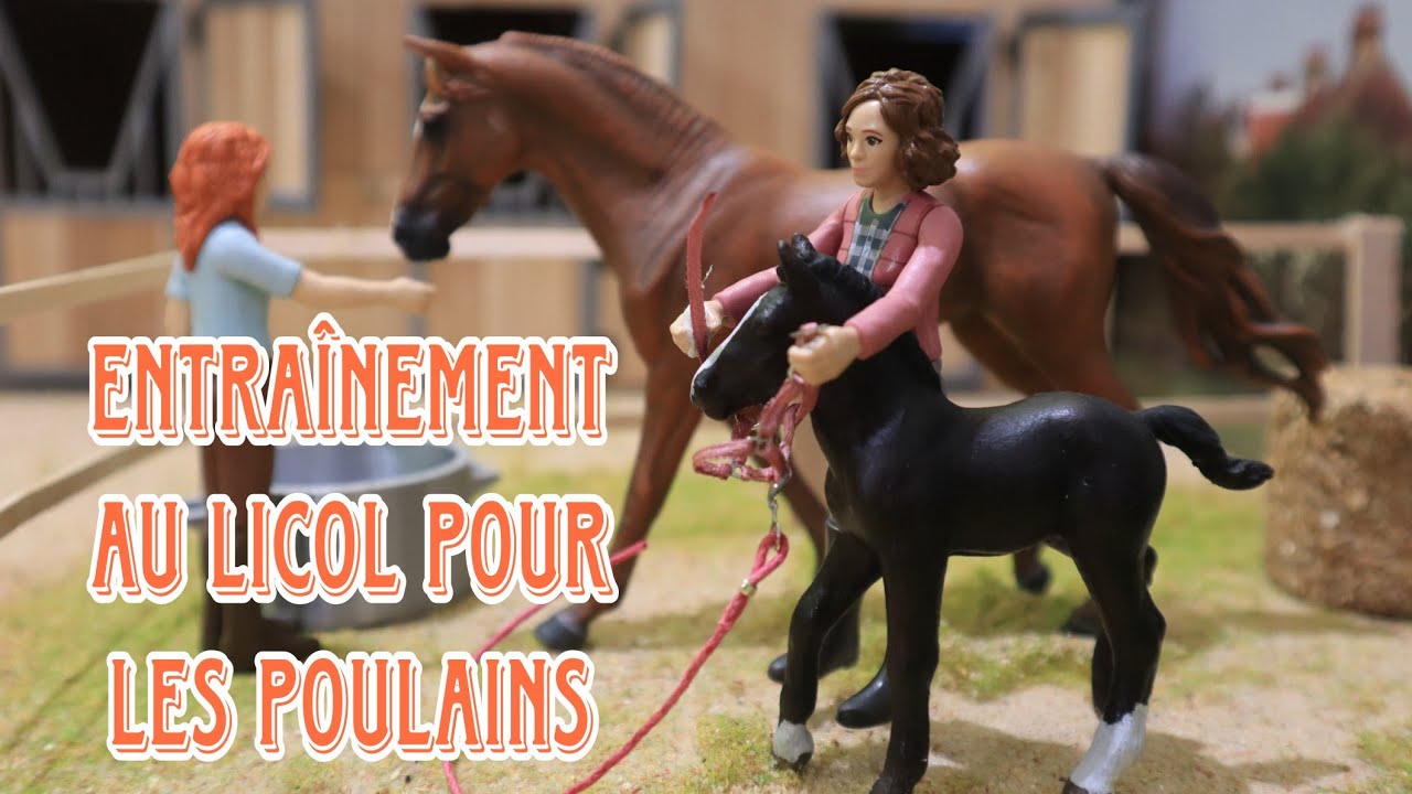 [VLOG] Une nouvelle palefrenière arrive au Haras !
