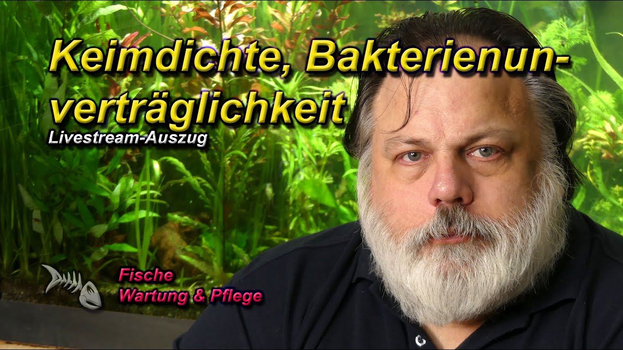 Keimdichte, Keimlast im Aquarium - Was ist Bakterienunverträglichkeit und was ist Sterilzucht?