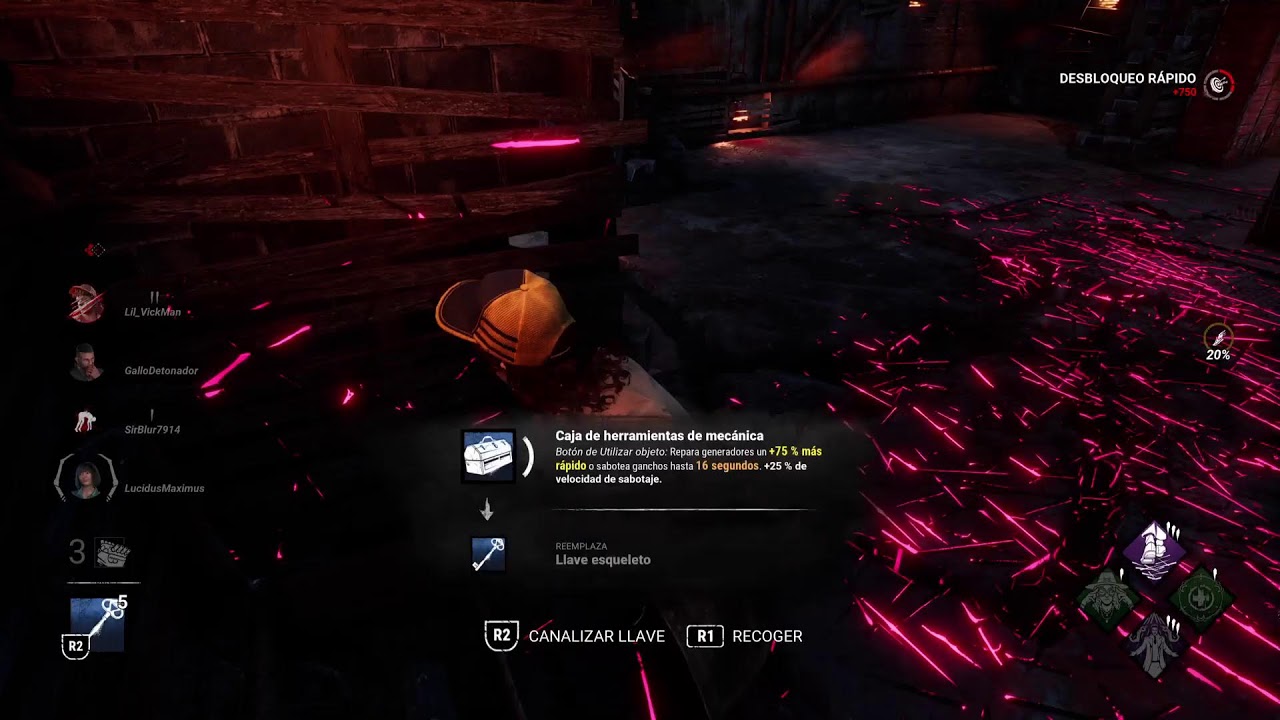 Dbd