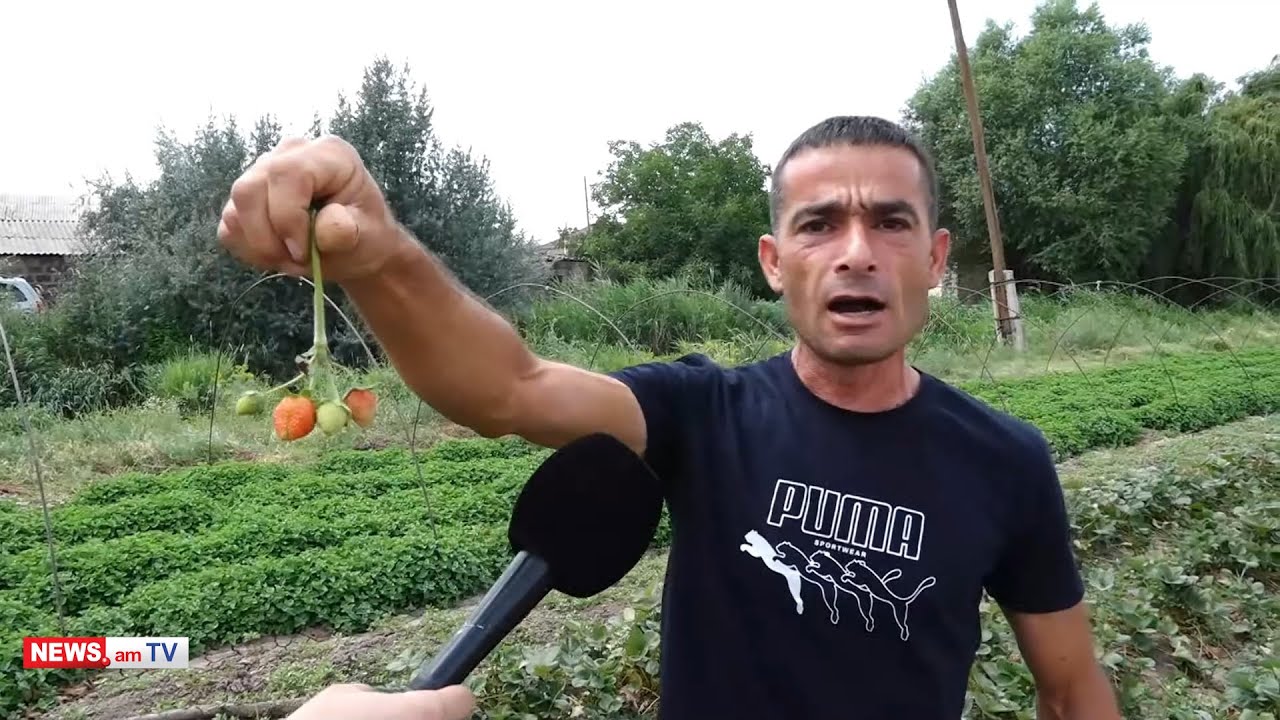 80 տարեկան մերս չոքեչոք գործ ա արել վրեն, ո՞վ ա դրա պատասխանը տալու. արմավիրցի